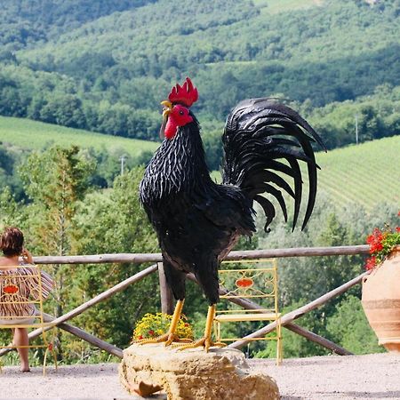 Agriturismo Borgo Il Bonagino Radda in Chianti Buitenkant foto