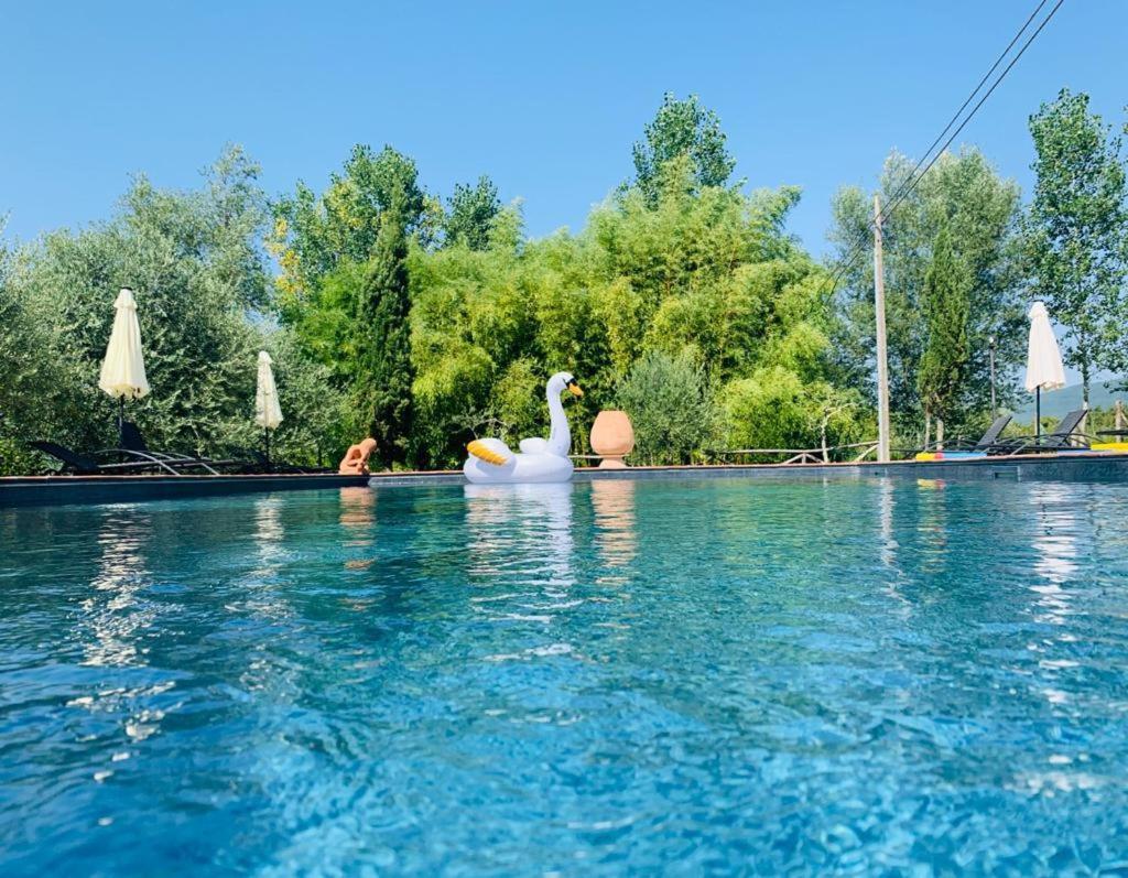 Agriturismo Borgo Il Bonagino Radda in Chianti Buitenkant foto