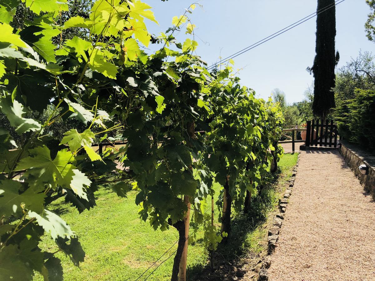 Agriturismo Borgo Il Bonagino Radda in Chianti Buitenkant foto